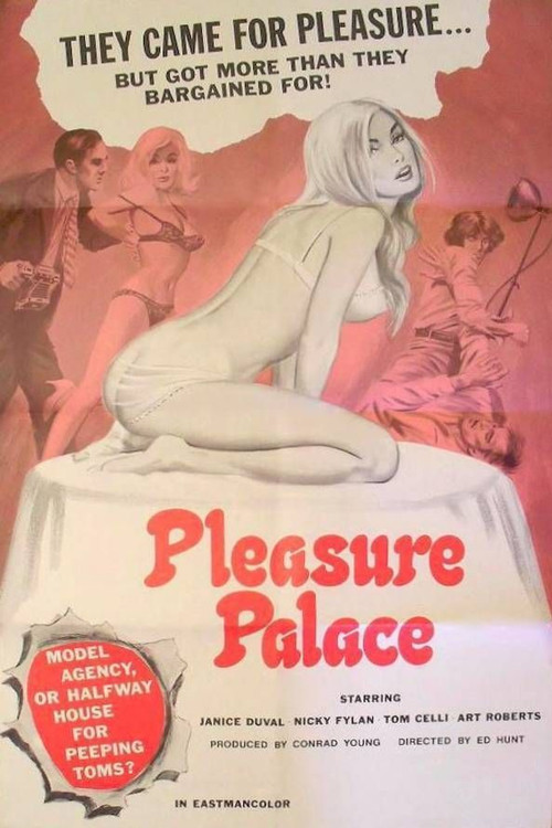 Movie poster for Pleasure Palace (1973)