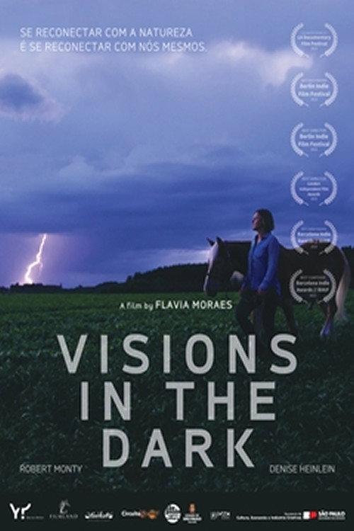Movie poster for Visions in the Dark (2023)