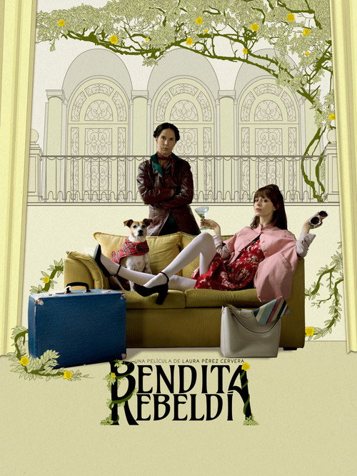 Movie poster for Accidental Blessings (2020)