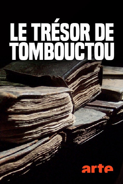 Movie poster for Der Schatz von Timbuktu, die Geschichte einer Rettung (2017)