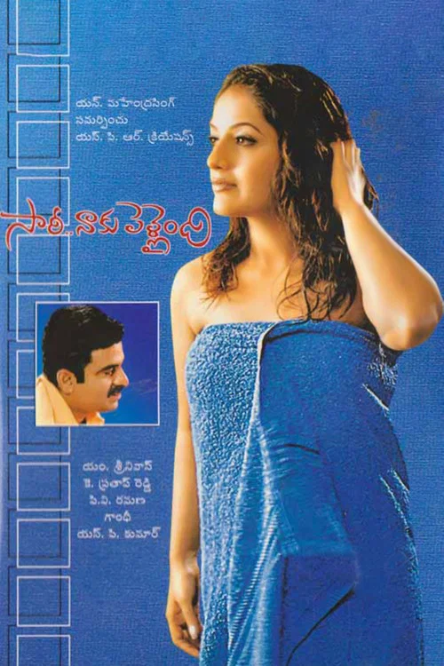 Movie poster for Sorry Naku Pellaindi (2004)