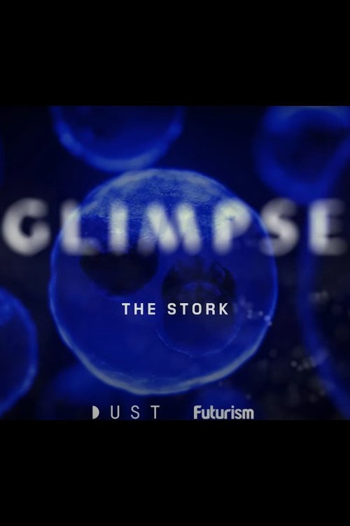 Movie poster for Glimpse Ep 2: The Stork (2018)