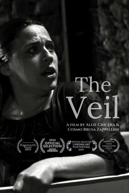 Movie poster for The Veil (2024)