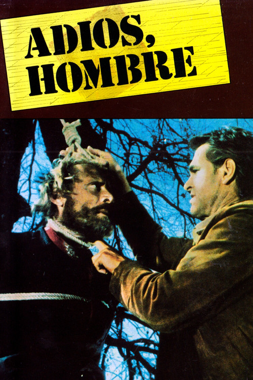 Movie poster for Adios, Hombre (1967)