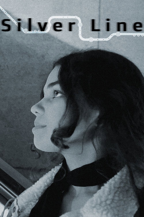 Movie poster for Silver Line (2023)