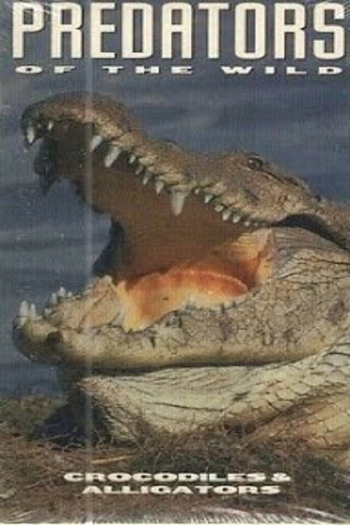 Movie poster for Predators of the Wild: Crocodiles and Alligators (1994)