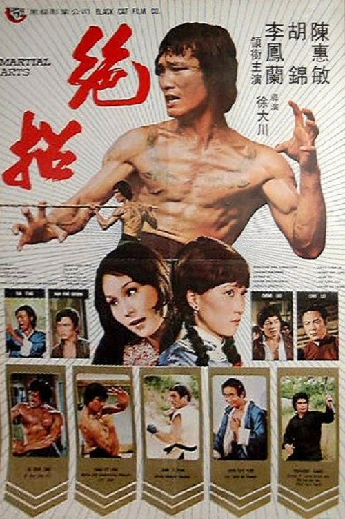 Movie poster for Martial Arts (1974)
