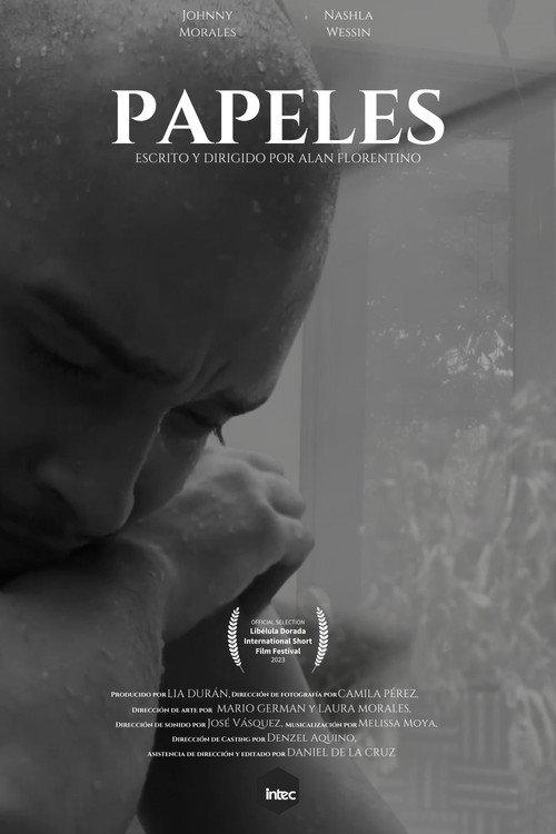 Movie poster for Papeles