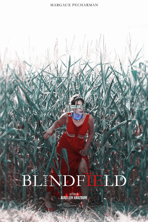 Movie poster for Blindfïeld (2020)