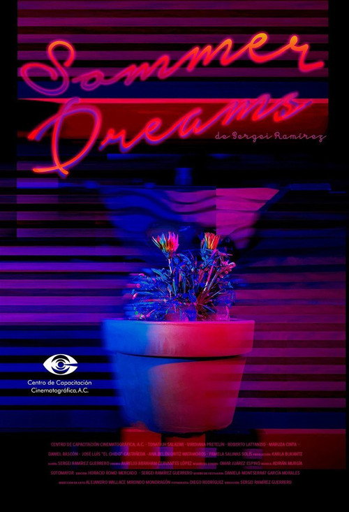 Movie poster for Sommer Dreams (2016)