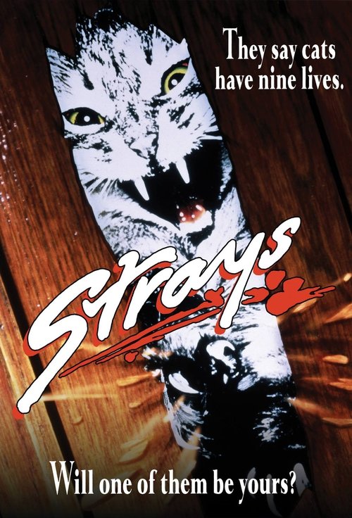 Movie poster for Strays (1991)