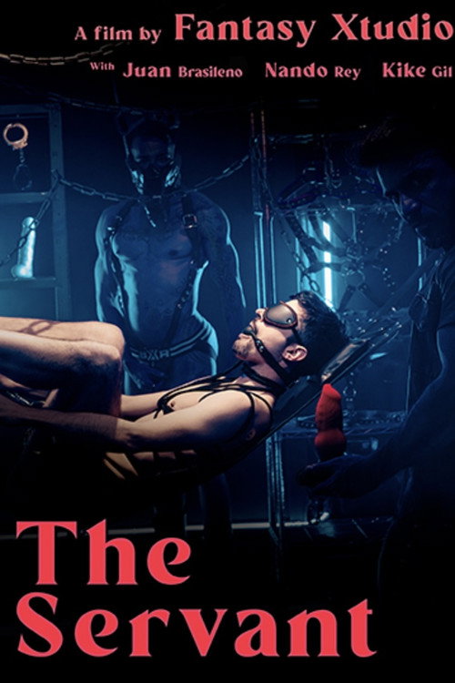 Movie poster for The Servant (2023)