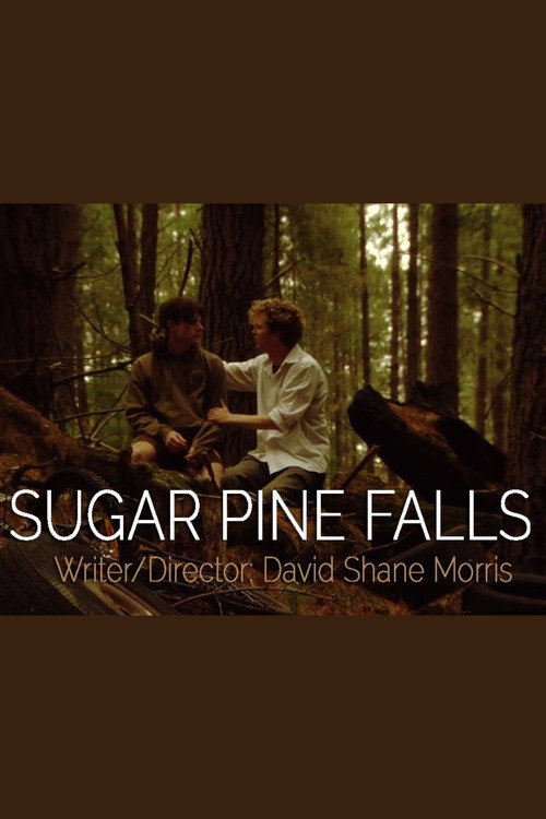 Movie poster for Sugar Pine Falls (2017)