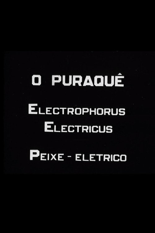 Movie poster for O Puraquê (1939)