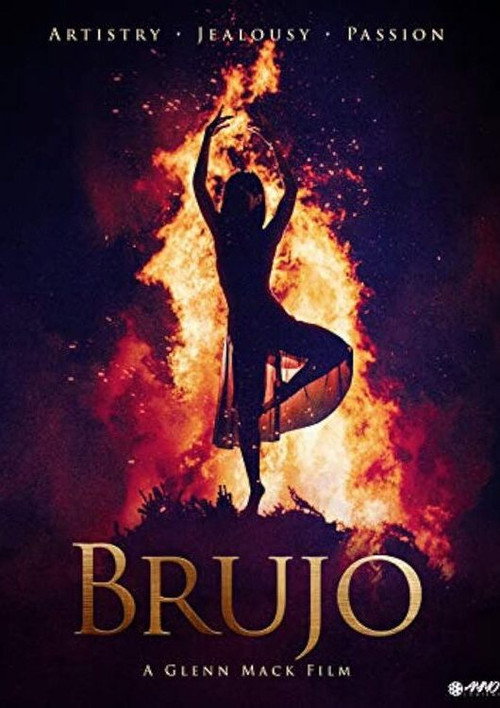 Movie poster for Brujo (2019)