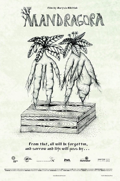 Movie poster for Mandrake (2015)