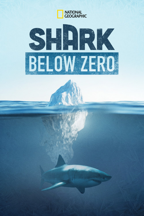 Movie poster for Shark Below Zero (2023)