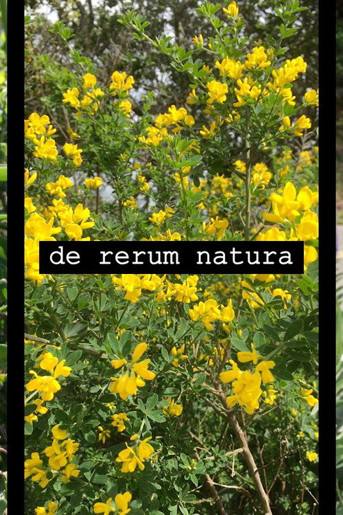 Movie poster for de rerum natura (2019)