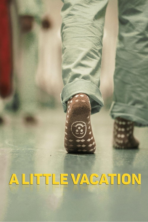 Movie poster for A Little Vacation (2022)