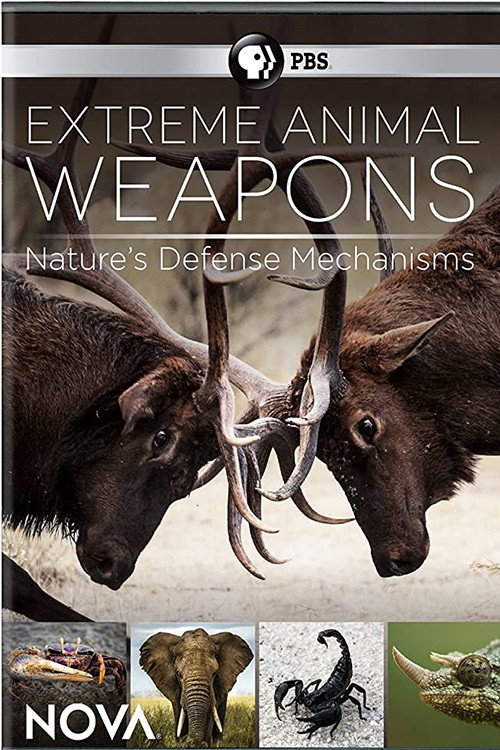 Movie poster for Extreme Animal Weapons
