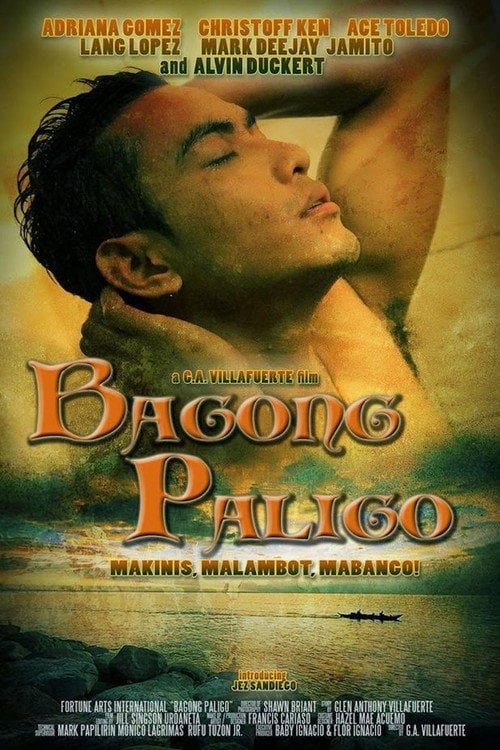 Movie poster for Bagong Paligo (2013)