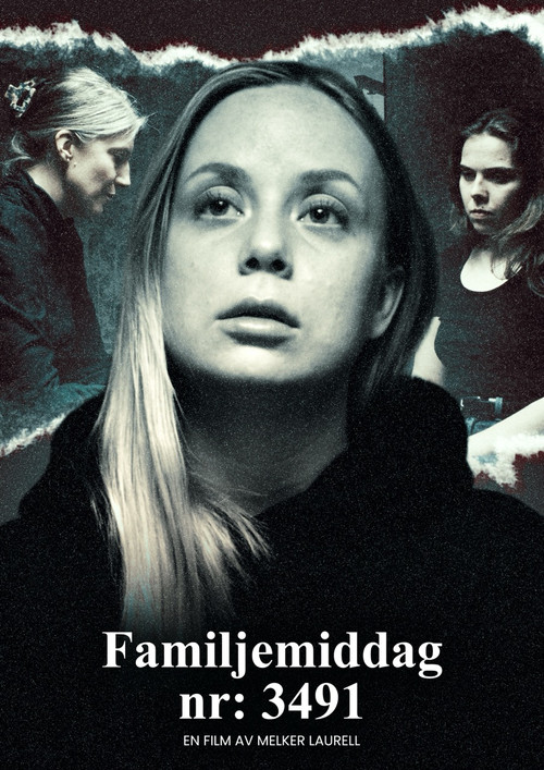 Movie poster for Family Dinner No. 3491 (2025)