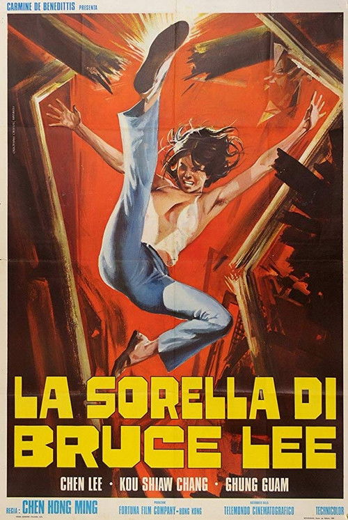 Movie poster for Chiu Chow Kung Fu (1974)