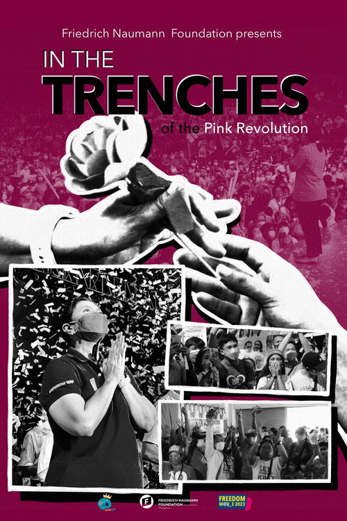 Movie poster for In The Trenches Of The Pink Revolution