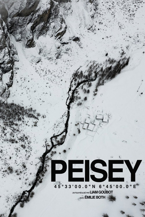 Movie poster for PEISEY (2024)