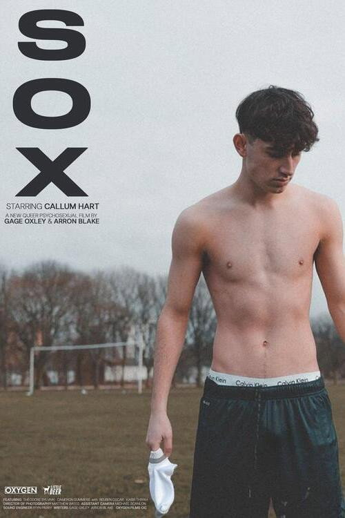 Movie poster for Sox