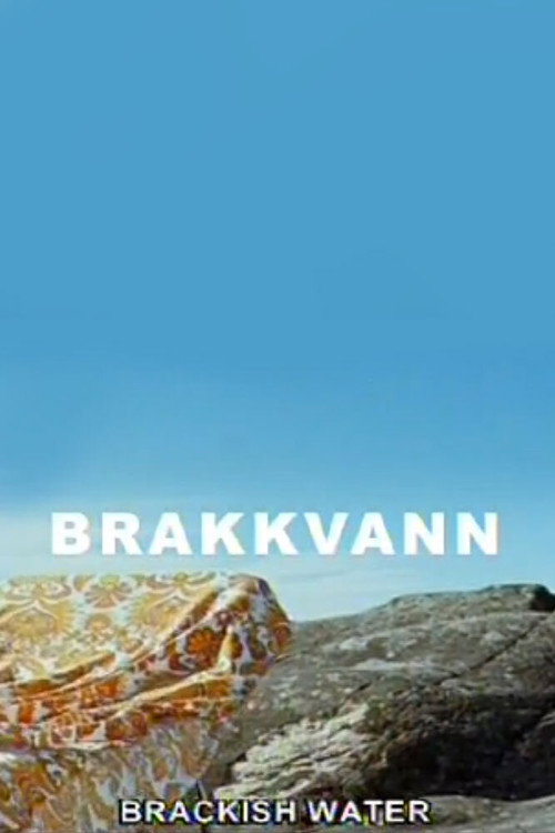 Movie poster for Brackish Water (2007)
