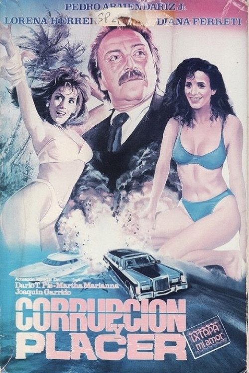 Movie poster for Corrupción y placer (1991)