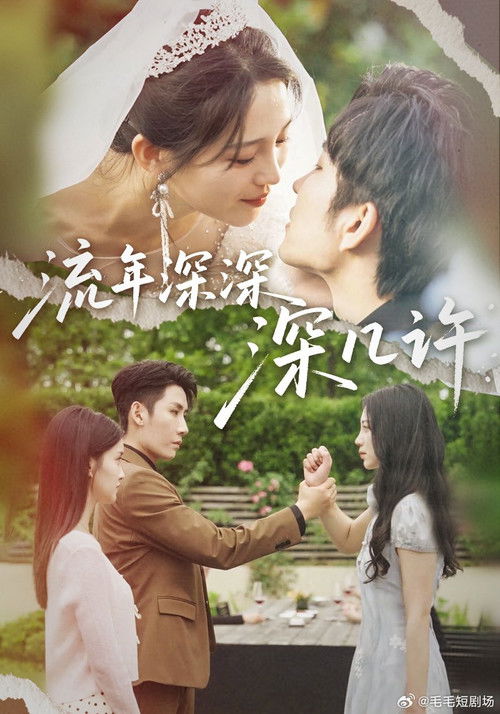 流年深深深几许 poster