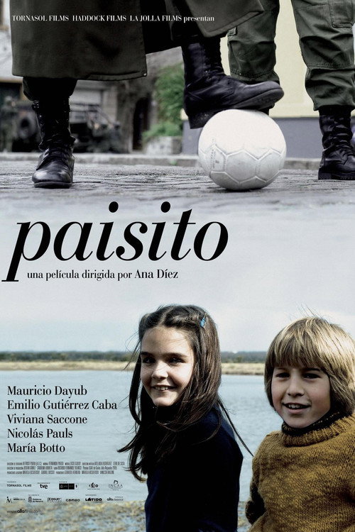 Movie poster for Small Country (2008)