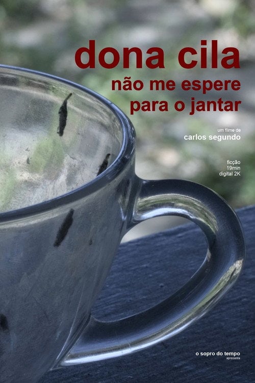 Movie poster for Dona Cila, Don't Wait For Me For Dinner (2020)