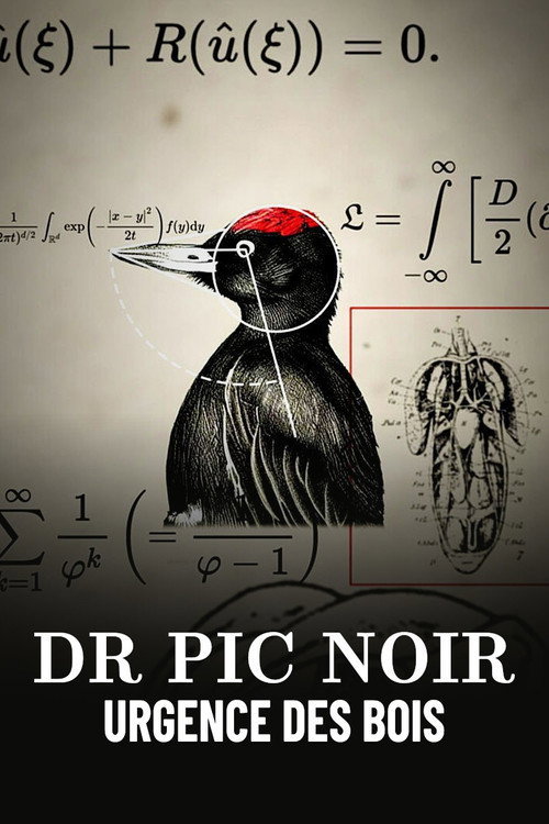 Movie poster for Dr Pic Noir, urgence des bois (2023)