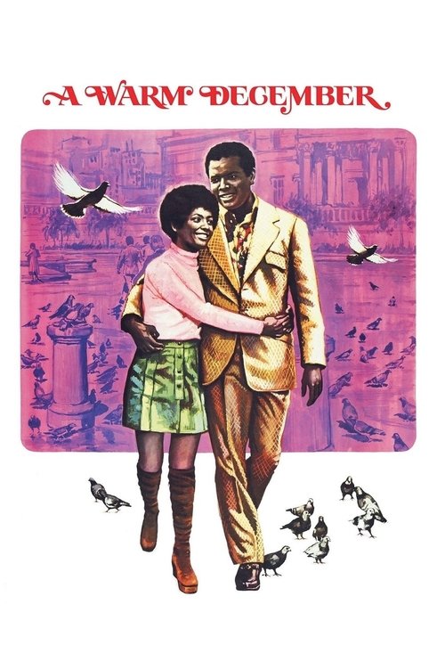Movie poster for A Warm December (1973)