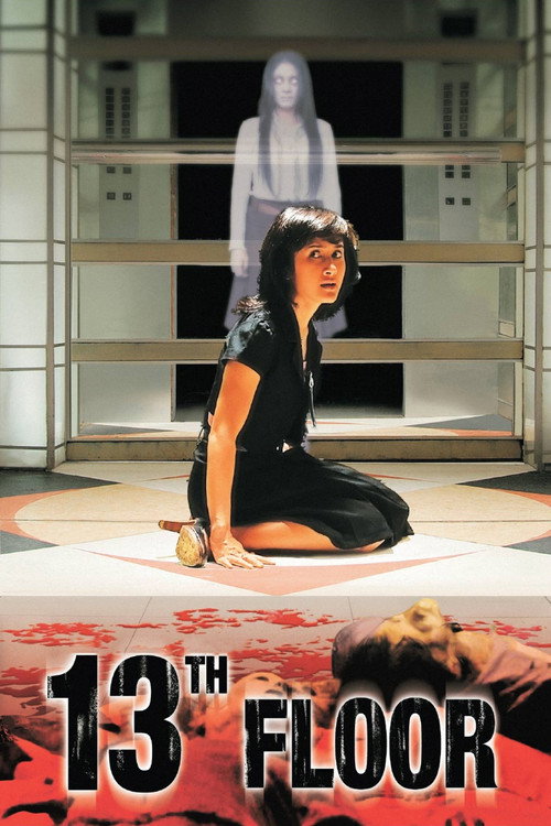 Movie poster for 13th Floor (2007)