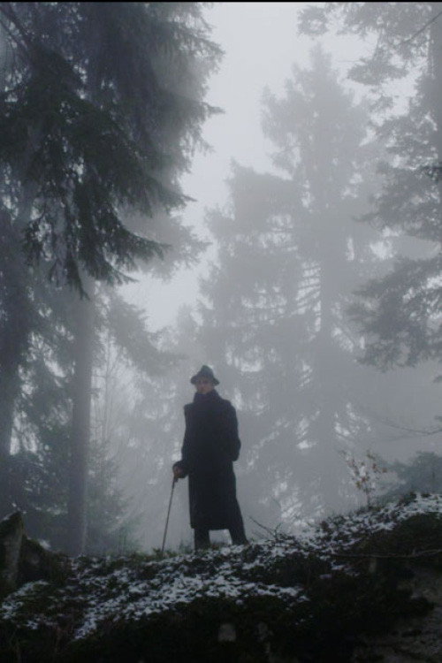 Movie poster for The Raven (2013)
