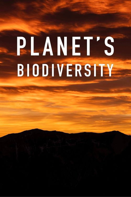 Movie poster for Planet's Biodiversity (2020)