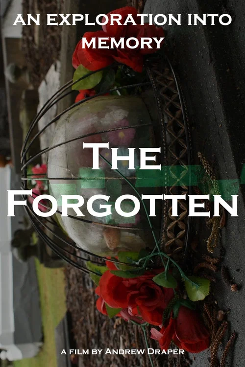 Movie poster for The Forgotten (2024)