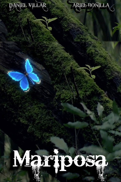 Movie poster for Butterfly (2018)