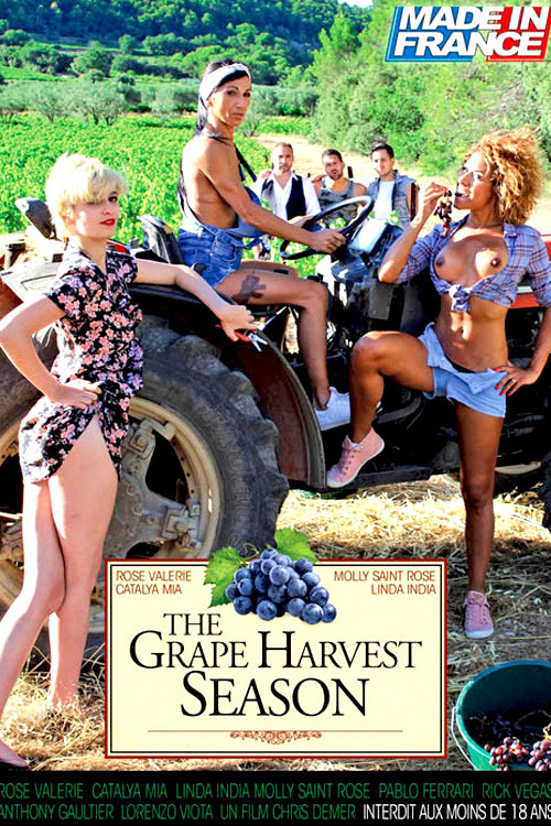 Movie poster for The Grape Harvest Season (2017)