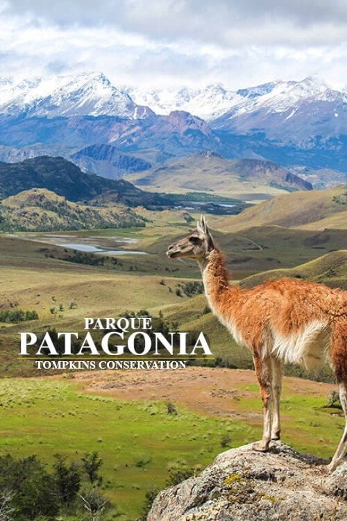 Movie poster for Parque Patagonia (2017)