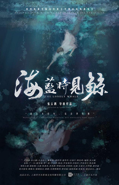 Movie poster for The Lonely Whale (2019)