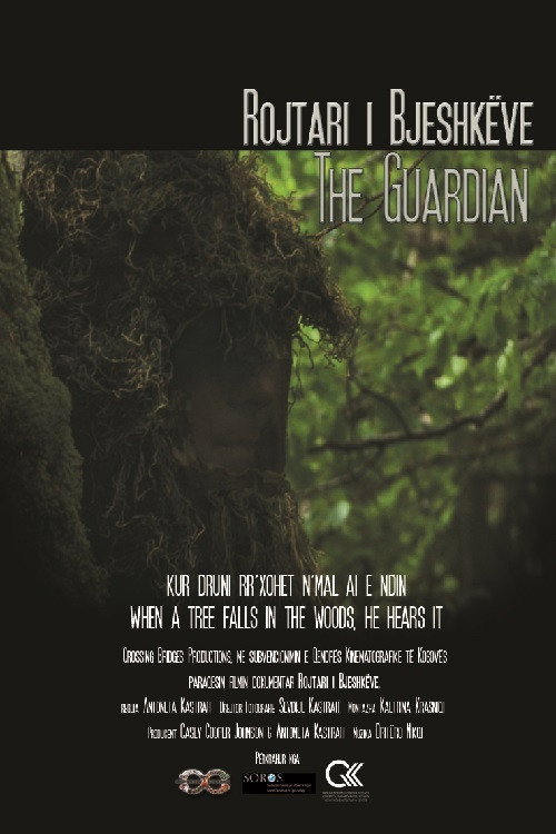 Movie poster for The Guardian (2010)