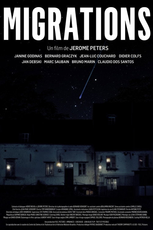 Movie poster for Migrations