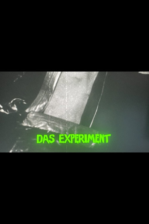 Movie poster for Das Experiment (2011)