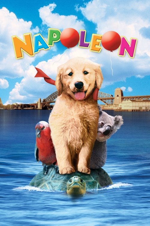 Movie poster for Napoleon (1995)