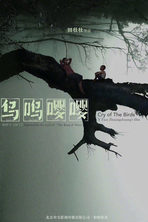 Movie poster for Cry of the Birds